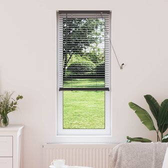 Venetiaanse Blind Verstelbaar Zilvergrijs 150 x 60 cm PVC 1