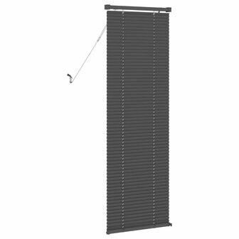 Venetiaanse Blind Verstelbaar Zilvergrijs 150 x 60 cm PVC 6