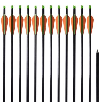 Pijlen compoundboog standaard 30" 0,8 cm glasvezel 12 stuks 1