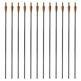 Pijlen compoundboog standaard 30" 0,8 cm glasvezel 12 stuks 2