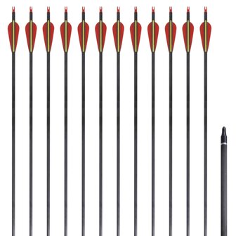 Pijlen voor recurveboog standaard 30" 0,76 cm koolstof 12 stuks 1
