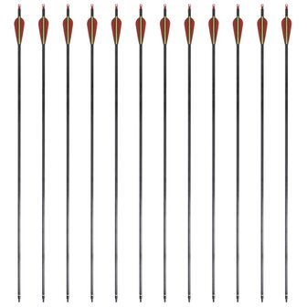 Pijlen voor recurveboog standaard 30" 0,76 cm koolstof 12 stuks 4