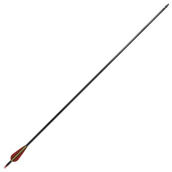 Pijlen voor recurveboog standaard 30" 0,76 cm koolstof 12 stuks 5
