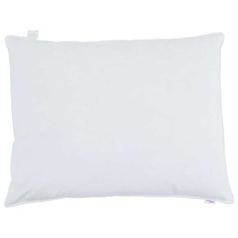 Hoofdkussen met kussen 2 pcs Wit 40 x 60 cm Veren 6