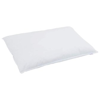 Hoofdkussen met kussen 2 pcs Wit 40 x 80 cm Veren 4