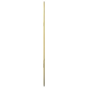 Wandspiegel 60x40 cm goudkleurig 5