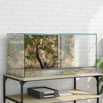 Terrarium met opslag Doorzichtig 80 x 40 x 40 cm Glas 1