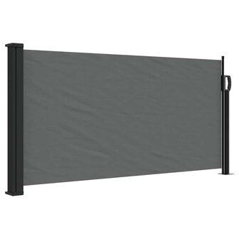 Uitschuifbare zijluifel antraciet 100x300 cm 2