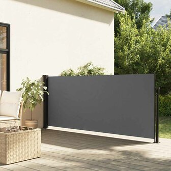 Uitschuifbare zijluifel antraciet 117x300 cm 1