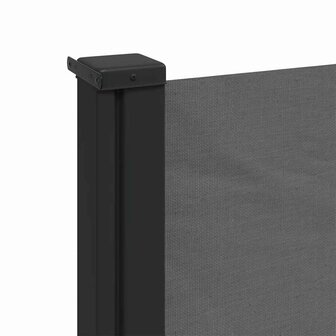 Uitschuifbare zijluifel antraciet 117x300 cm 7