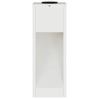 Zonne LED Padverlichting 2 pcs Wit Koudgewalst staal 6