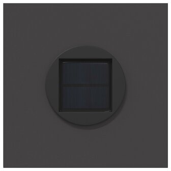 Solar LED Padverlichting 2 pcs Zwart Koudgewalst staal 7