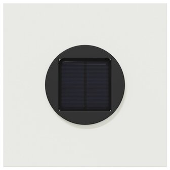 Solar LED Padverlichting 2 pcs Wit Koudgewalst staal 7