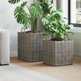 Plantenmand met opslag 2 pcs Grijs Lacak Riet 1
