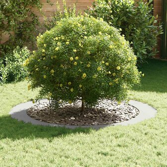 Boomringen 5 pcs Wit &Oslash;90 / 120 cm Staal 3
