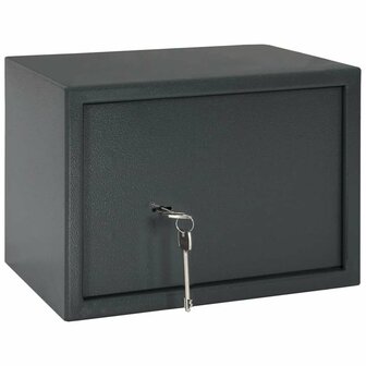 Kluis met slot Donkergrijs 35 x 25 x 25 cm Staal 2