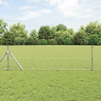 Afrasteringspaal Zilver 10 x 0,6 m (50 mm gaas) Staal 1