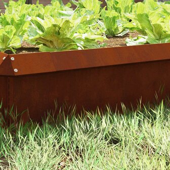 Slakkenhekje 4 pcs Roestig 100 x 3,5 x 25 cm Cortenstaal 3