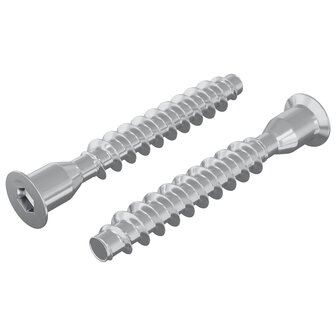 Confirmatschroeven 2 pcs Zilver &Oslash;7 x 50 mm Metaal 2