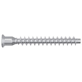 Confirmatschroeven 12 pcs Zilver &Oslash;7 x 58 mm Metaal 4