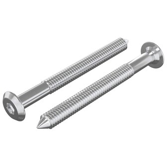 Meubelschroeven 2 pcs Zilver M6 x 60 mm Staal 2