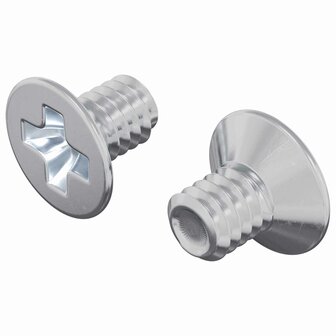 Verzonken schroeven 2 pcs Zilver M4 x 6 mm Staal 2