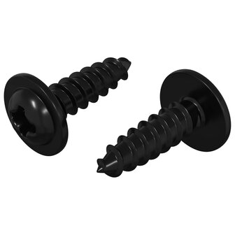 Zelftappende Nagel 2 pcs Zwart 3,5 x 12 mm IJzer 2