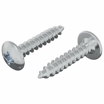 Zelftappende Nagel 2 pcs Verzinkt 4 x 20 mm Staal 2