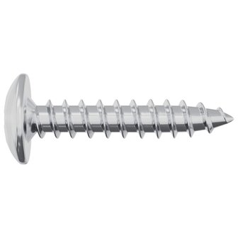 Zelftappende Nagel 2 pcs Verzinkt 4 x 20 mm Staal 4