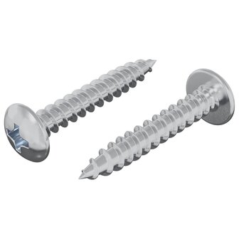 Zelftappende Nagel 2 pcs Verzinkt 4 x 25 mm Staal 2