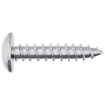 Houtschroeven 2 pcs Zilver M4 x 20 mm Staal 4