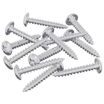 Houtschroeven 12 pcs Zilver M4 x 25 mm Staal 2