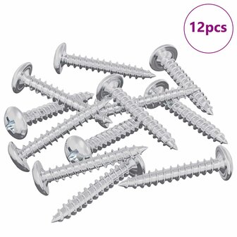 Houtschroeven 12 pcs Zilver M4 x 25 mm Staal 3