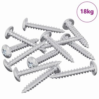 Houtschroeven 9231 pcs Zilver Staal 2