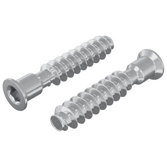 Hoofdkapbout 2 pcs Zilver M7 x 40 mm Staal 2