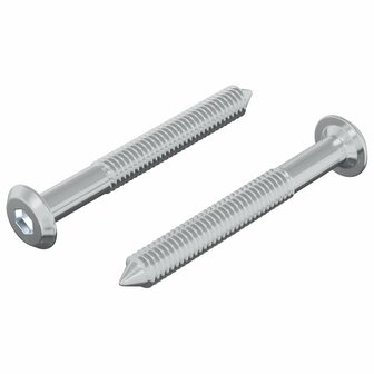 Bout 2 pcs Zilver M6 x 50 mm Staal 2