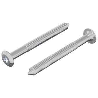 Bout 2 pcs Zilver M6 x 60 mm Staal 2