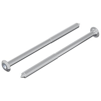 Bout 2 pcs Zilver M6 x 100 mm Staal 2