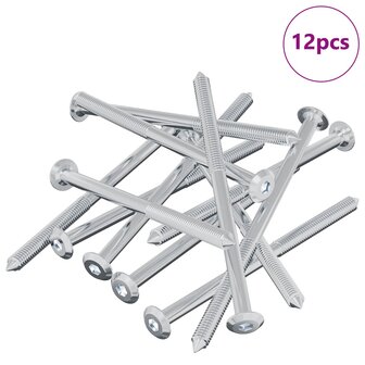Bout 12 pcs Zilver M6 x 100 mm Staal 2