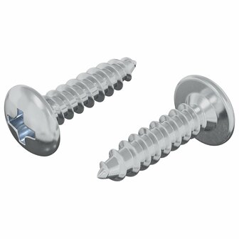 Bout 2 pcs Zilver M4 x 16 mm Staal 2