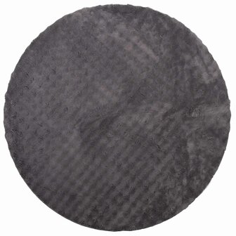 Vloerkleed Rond SIROLO Antraciet &Oslash; 120 CM Polyester 2