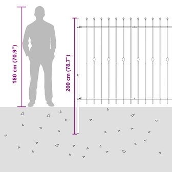 Spijlenhekwerk Zwart 200 x 200 cm Gepoedercoat staal 8