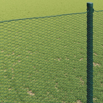 Hexagon Hek Groen 1 x 10 m PVC 4