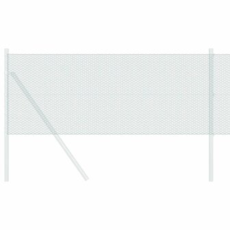 Hexagon Hek Groen 0,4 x 25 m PVC 3