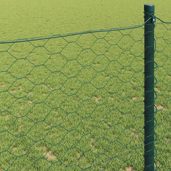 Hexagon Hek Groen 0,4 x 25 m PVC 4
