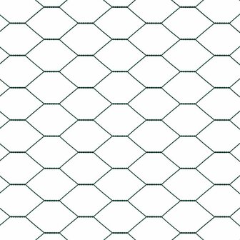 Hexagon Hek Groen 0,6 x 25 m PVC 7