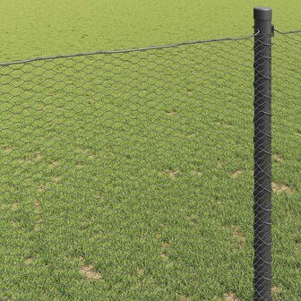 Hexagon Hek Grijs 1,2 x 10 m PVC 4