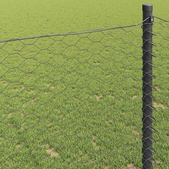Hexagon Hek Grijs 0,4 x 25 m PVC 4