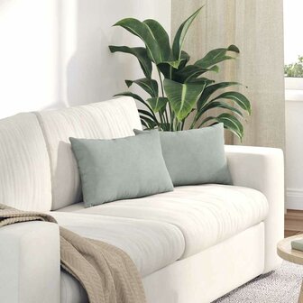 Sofa Kussens 2 stuks Lichtgrijs 50 x 30 cm Cordstof 1