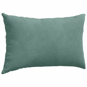 Sofa Kussens 2 stuks Zeegroen 50 x 30 cm Cordstof 5